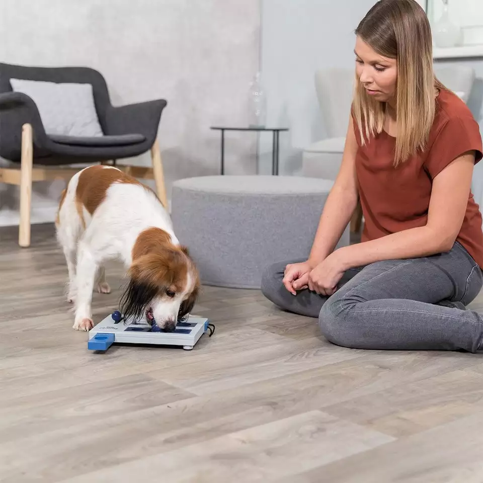 Koira ratkaisemassa Trixie Mini Mover -älypeliä omistajansa kanssa.