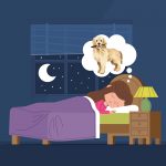 Mitä koiran näkeminen unessa merkitsee?