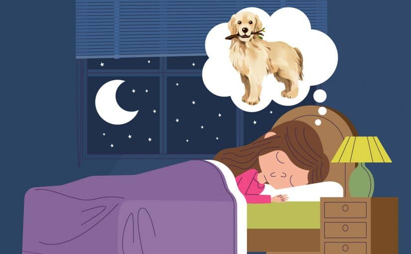 Mitä merkitsee kun näkee unessa koiran?